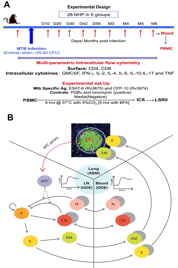 Fig 2