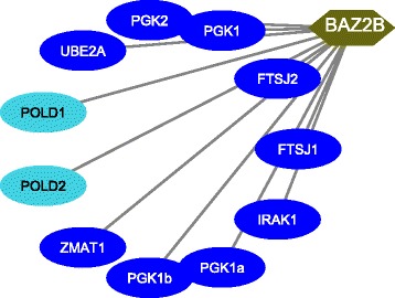 Fig. 5