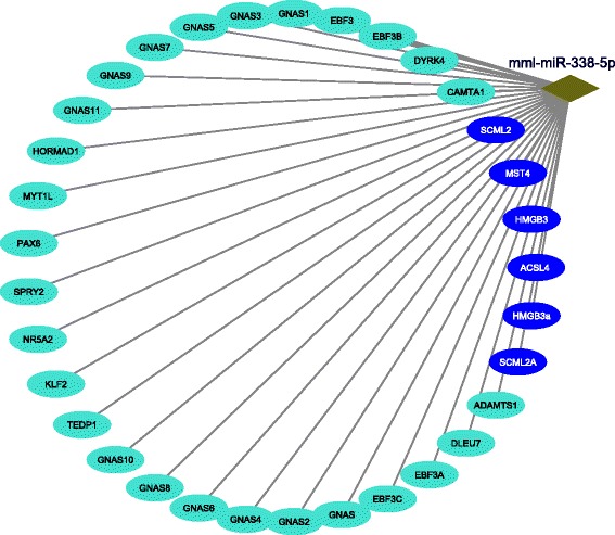 Fig. 6