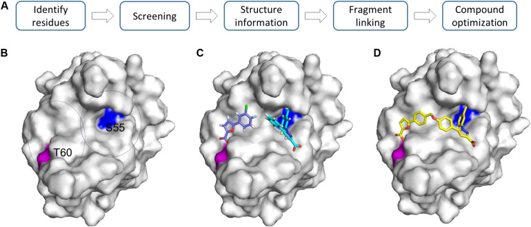 FIGURE 4