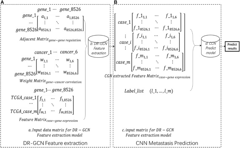 FIGURE 1