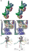 Fig. 6