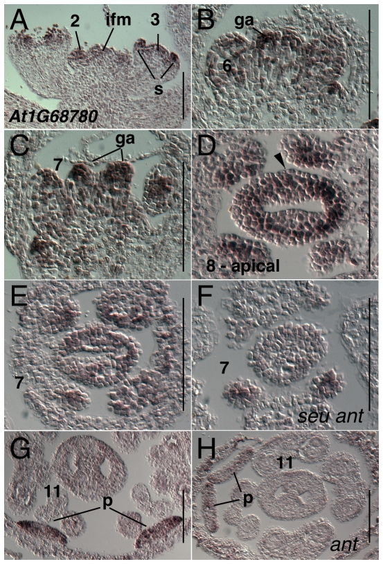 Figure 15