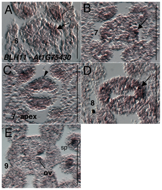 Figure 13