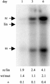 Fig. 3.