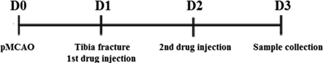 Fig.1