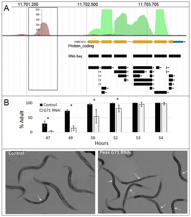 Fig. 5.