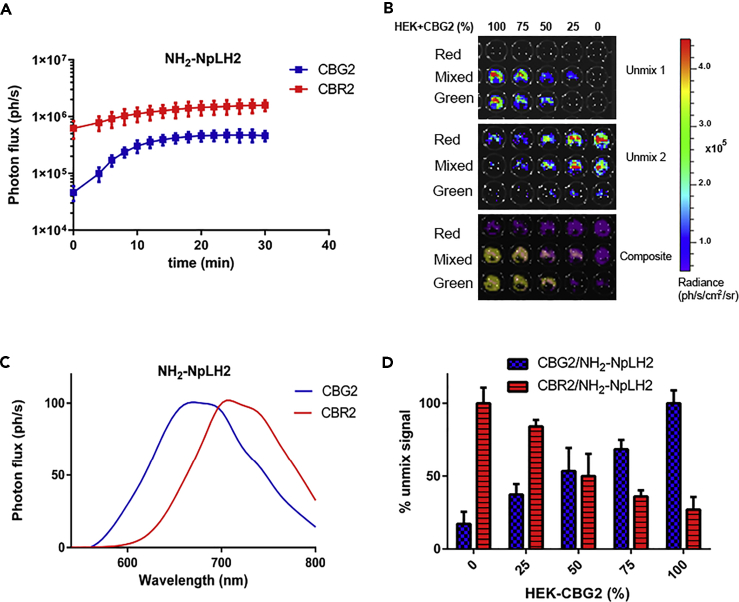 Figure 2