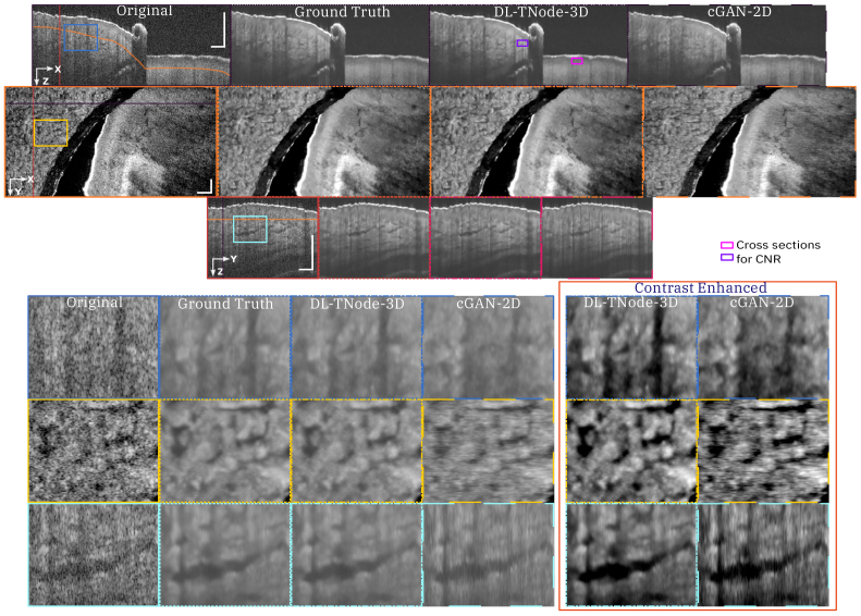 Fig. 6.