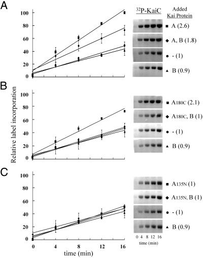 Fig 1.