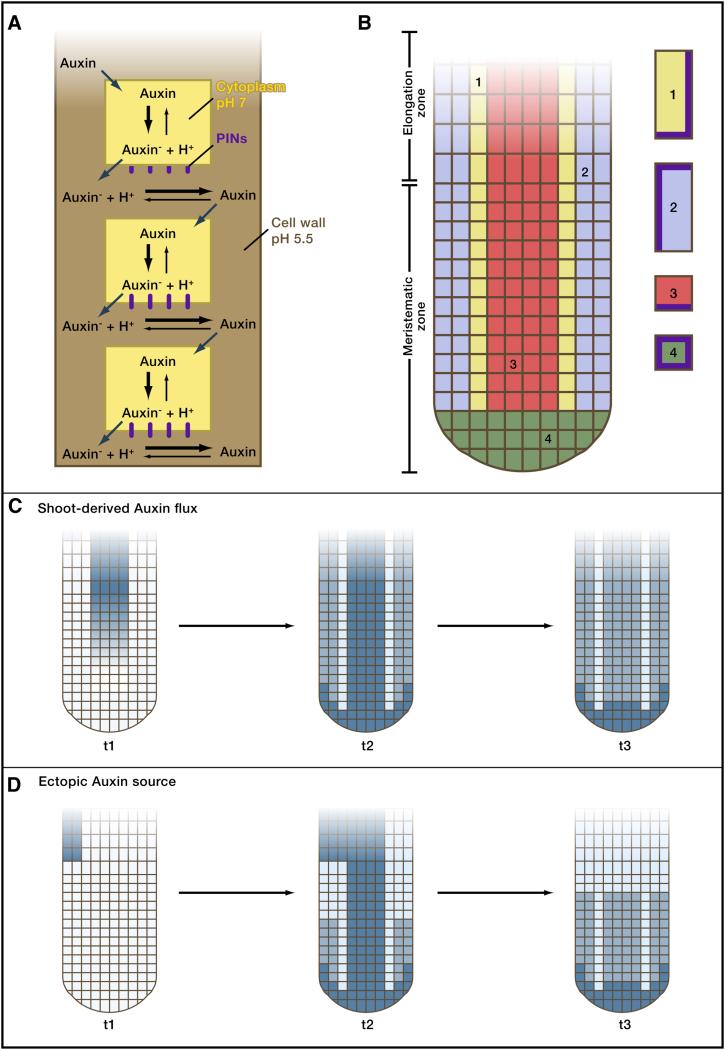 Figure 4