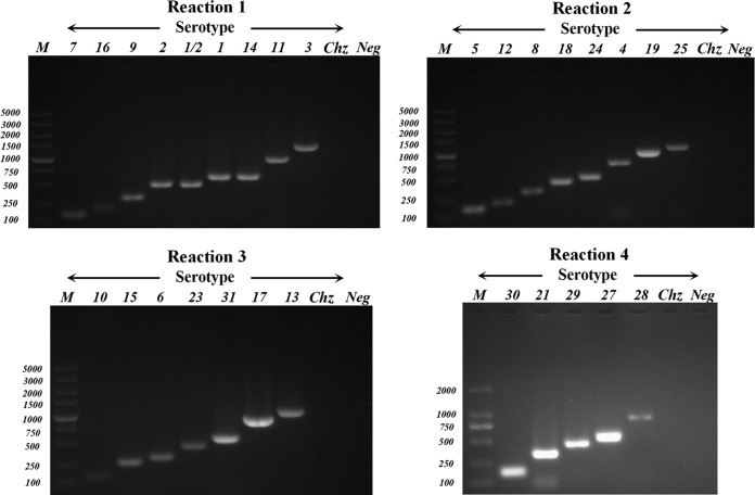 FIG 3