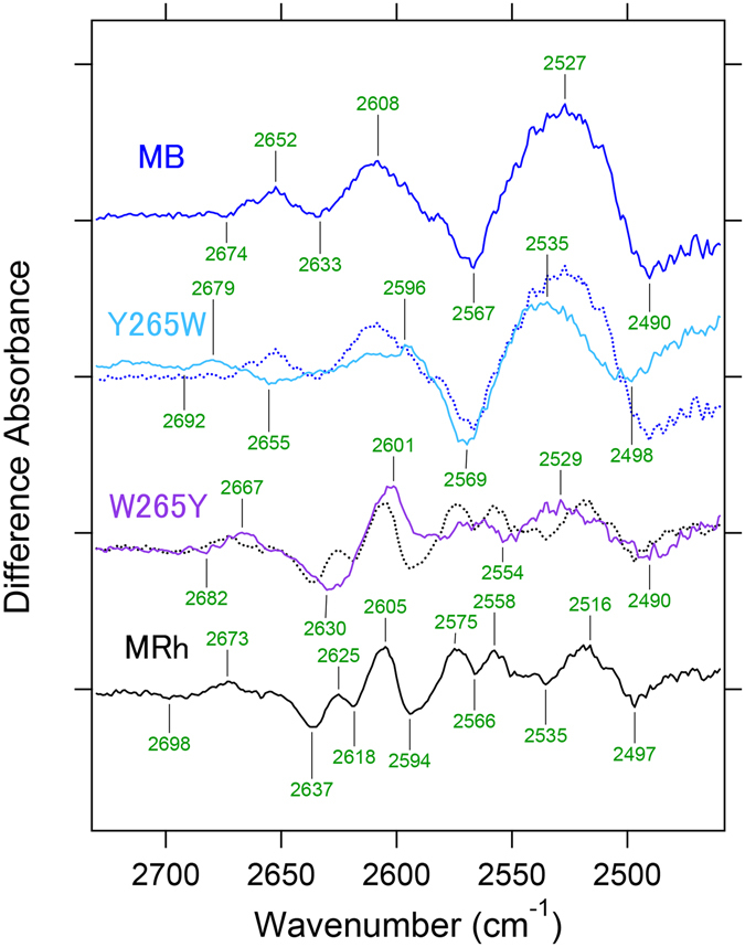 Figure 5