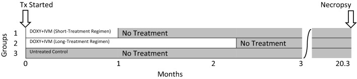 graphic file with name 13071_2023_5769_Figa_HTML.jpg