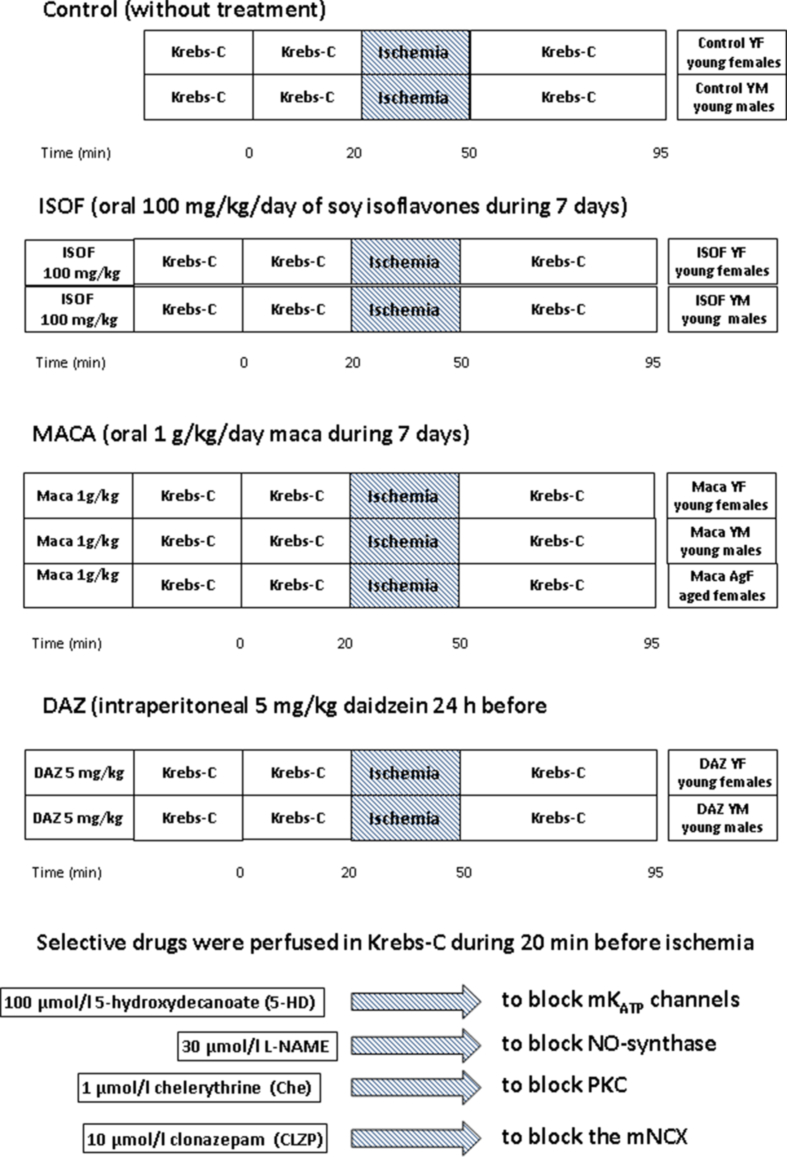 figs2