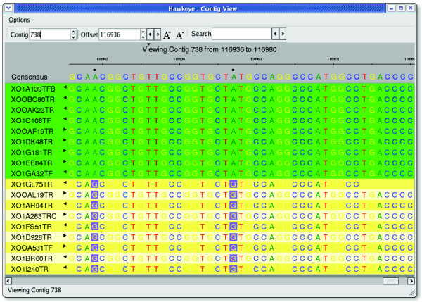 Figure 5