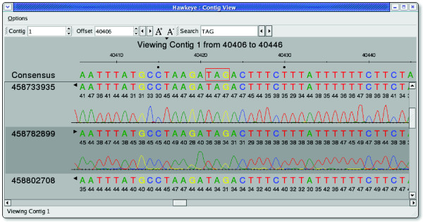 Figure 4