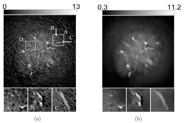 Figure 14