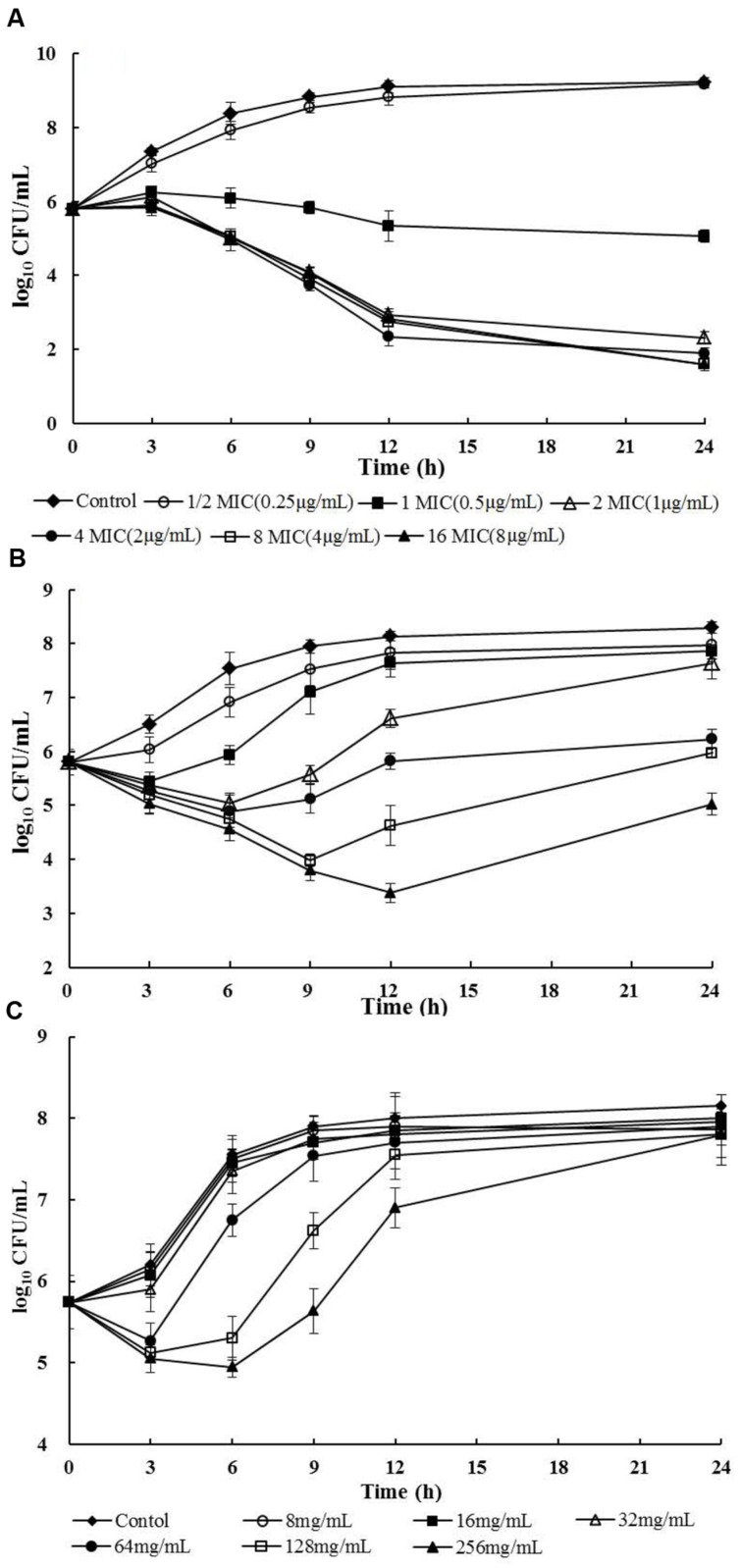 FIGURE 1