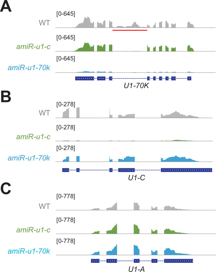 Extended Data Fig. 4