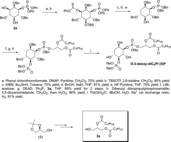 Scheme 2