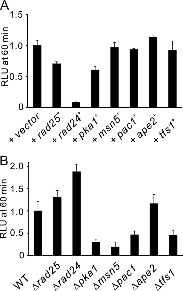 FIGURE 10.