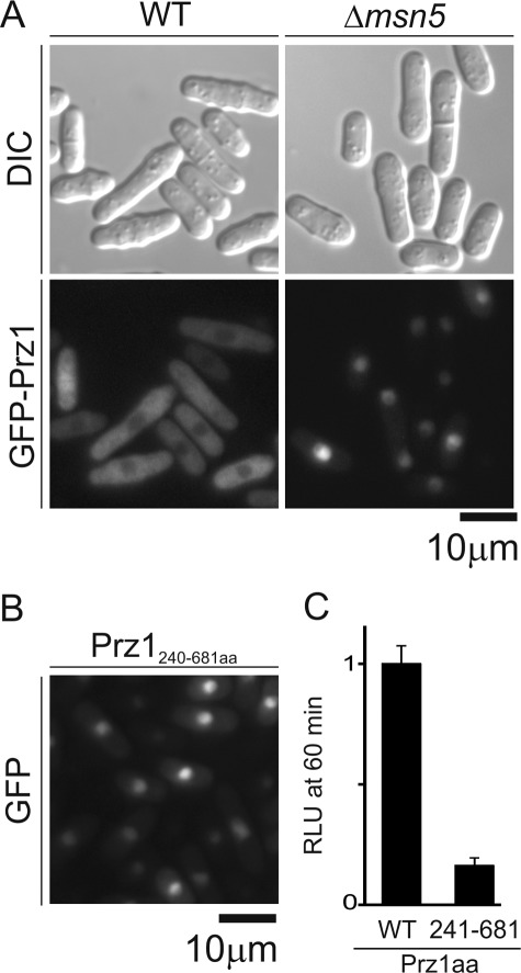 FIGURE 9.