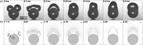 FIG. 2.