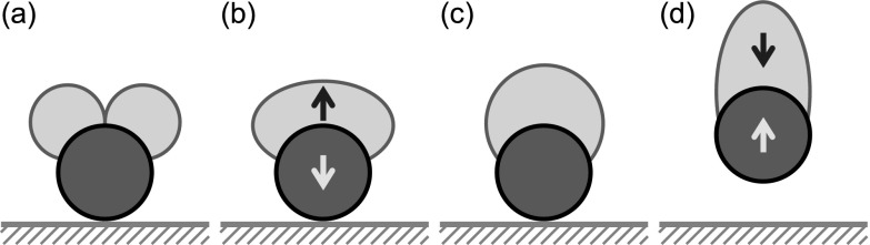 FIG. 1.