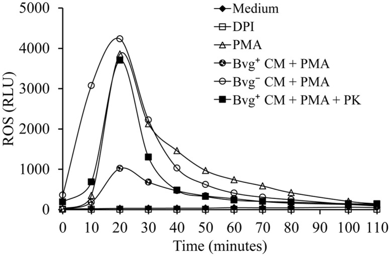 Fig 8