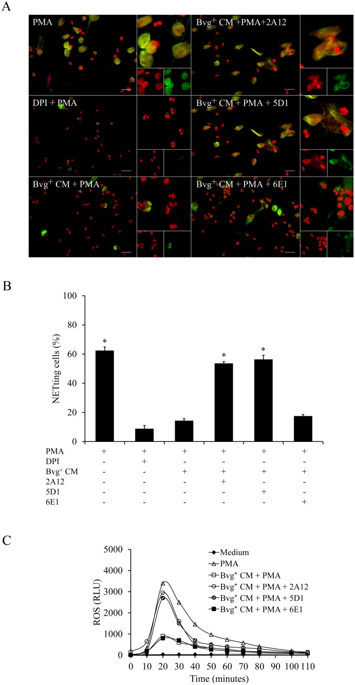 Fig 9