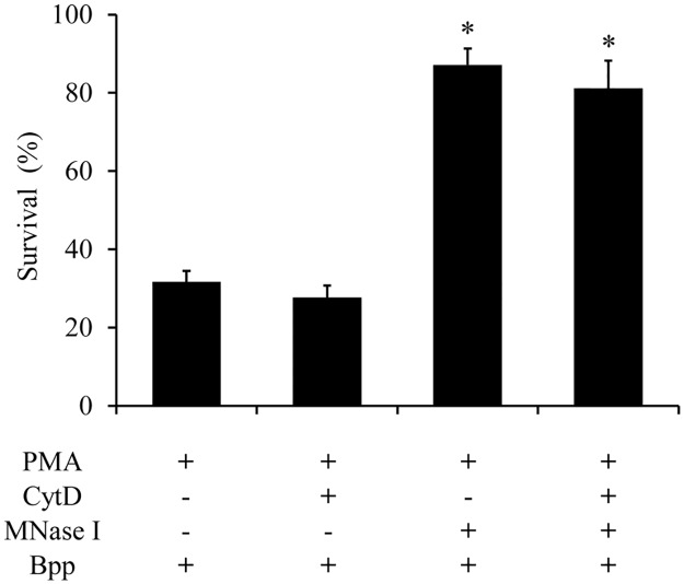 Fig 12