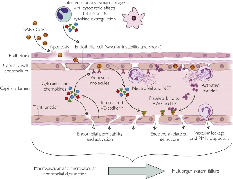 Figure 2