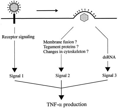 FIG. 8