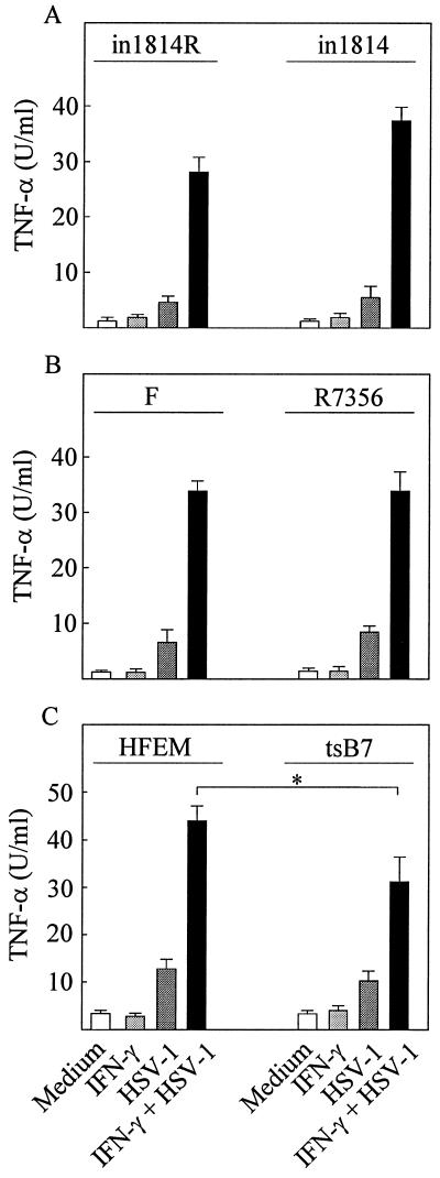 FIG. 6