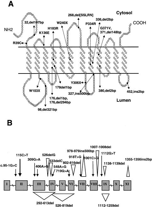 Figure  1 