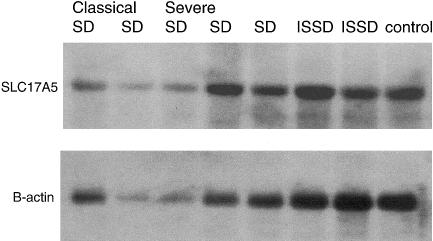 Figure  2 