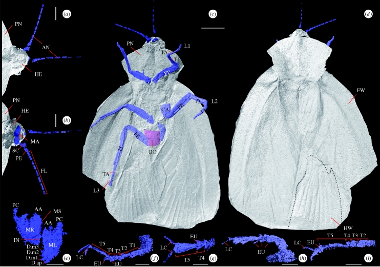 Figure 2.