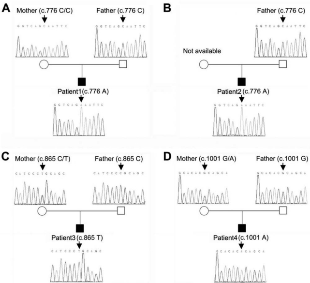 Figure 2.