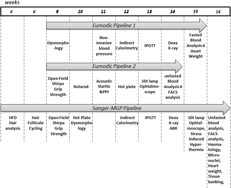 Fig. 2