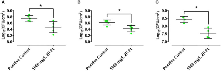 Figure 4