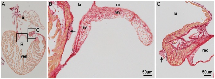 Figure 9