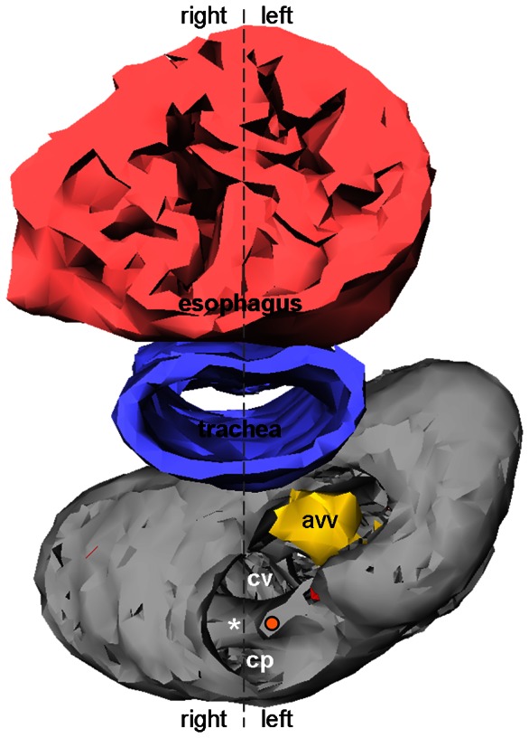 Figure 10