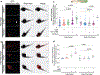 Fig. 4 |