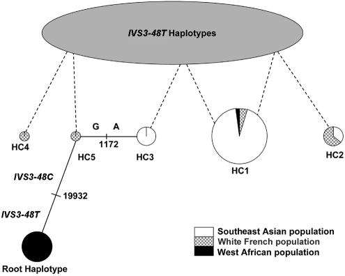 Figure  4