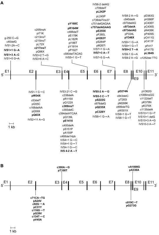 Figure  1