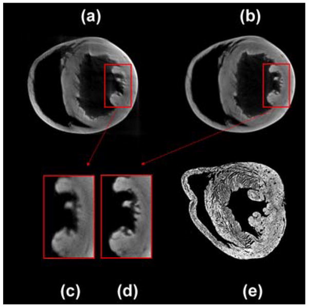 Fig. 10