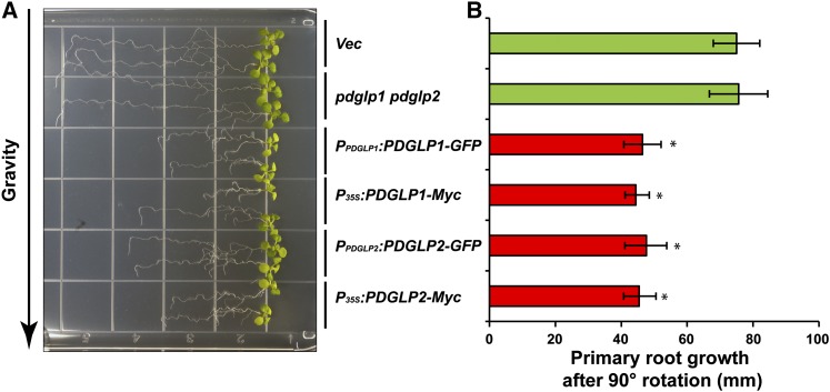 Figure 9.