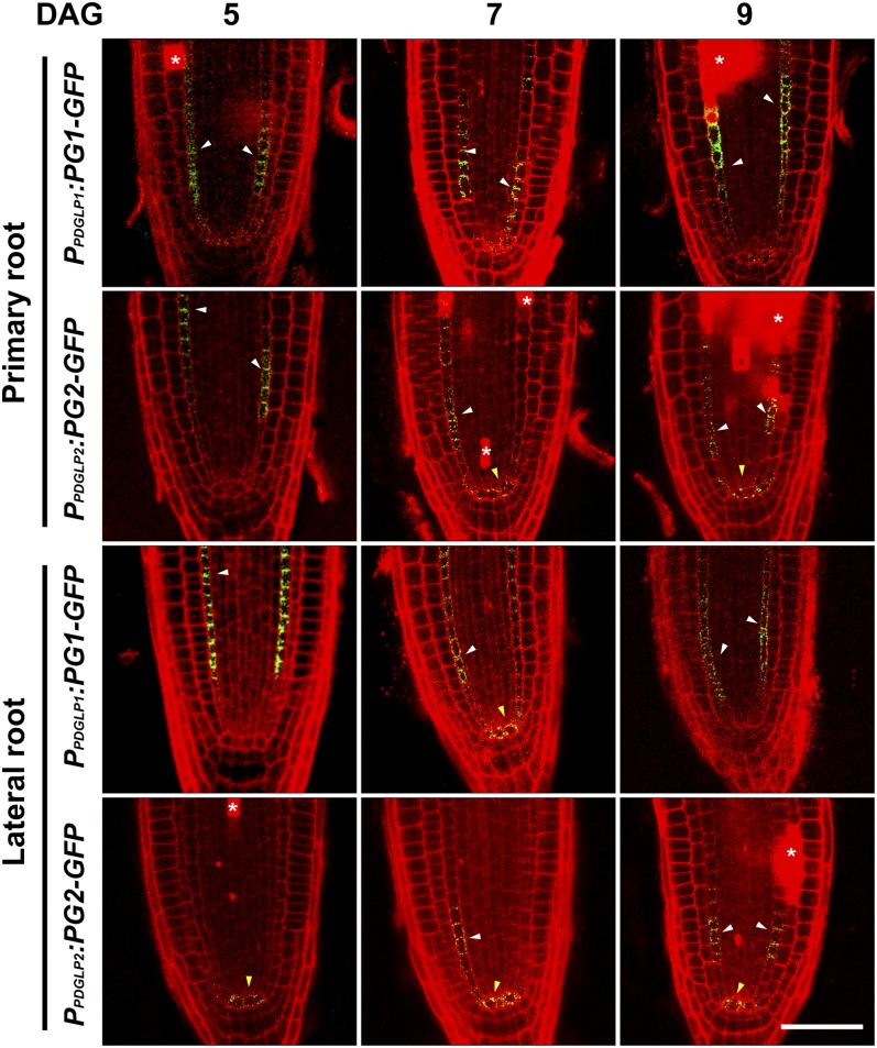 Figure 3.