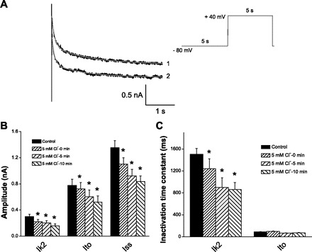 Fig. 8.